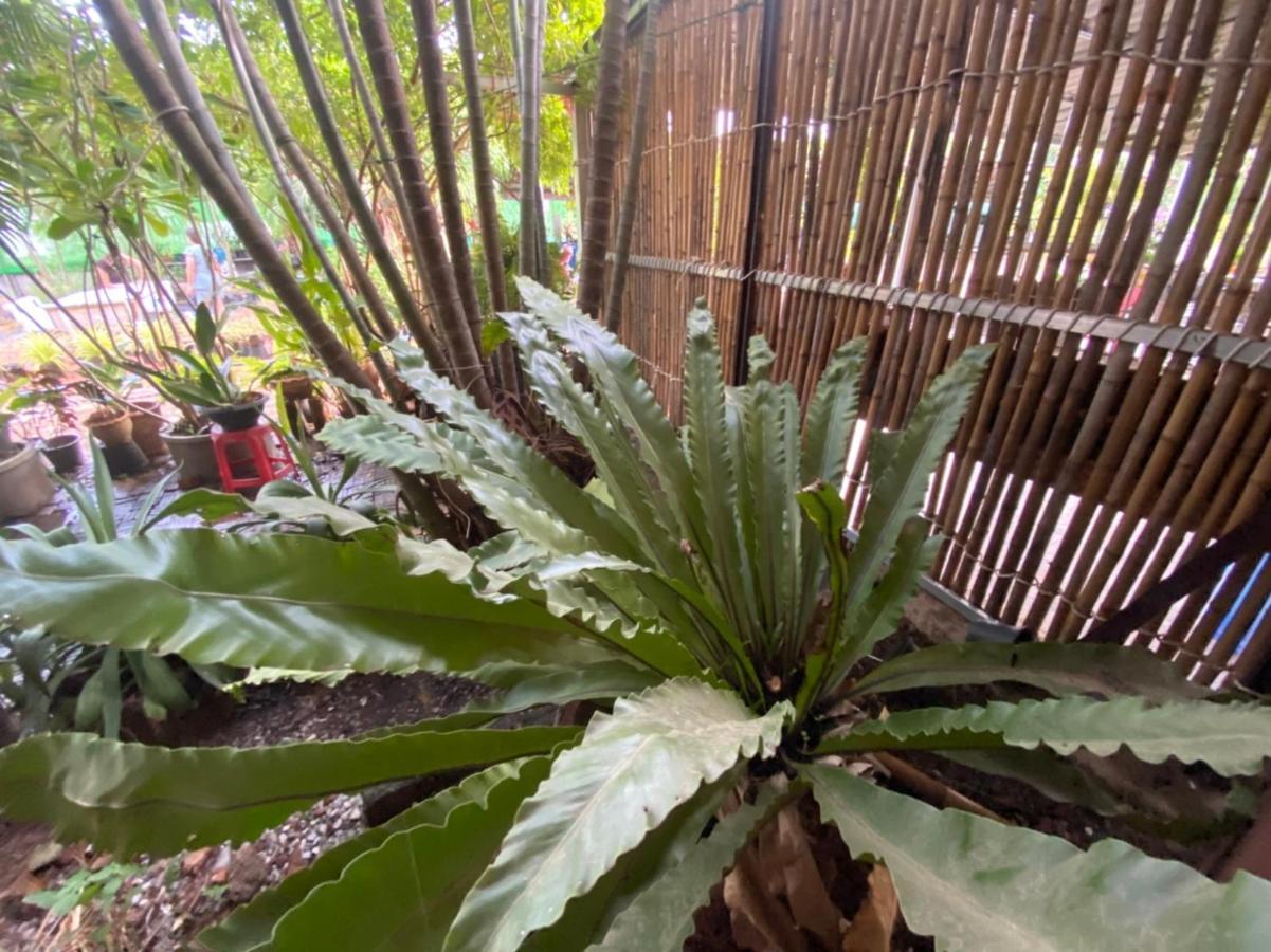 Mayuree Resort Udon Thani Eksteriør billede